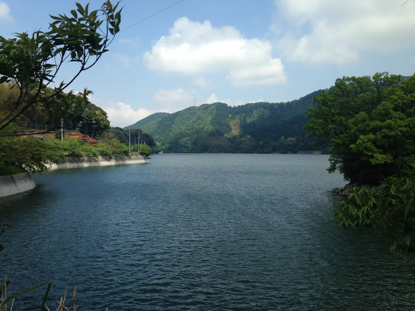 緑に囲まれた河内貯水池の水面