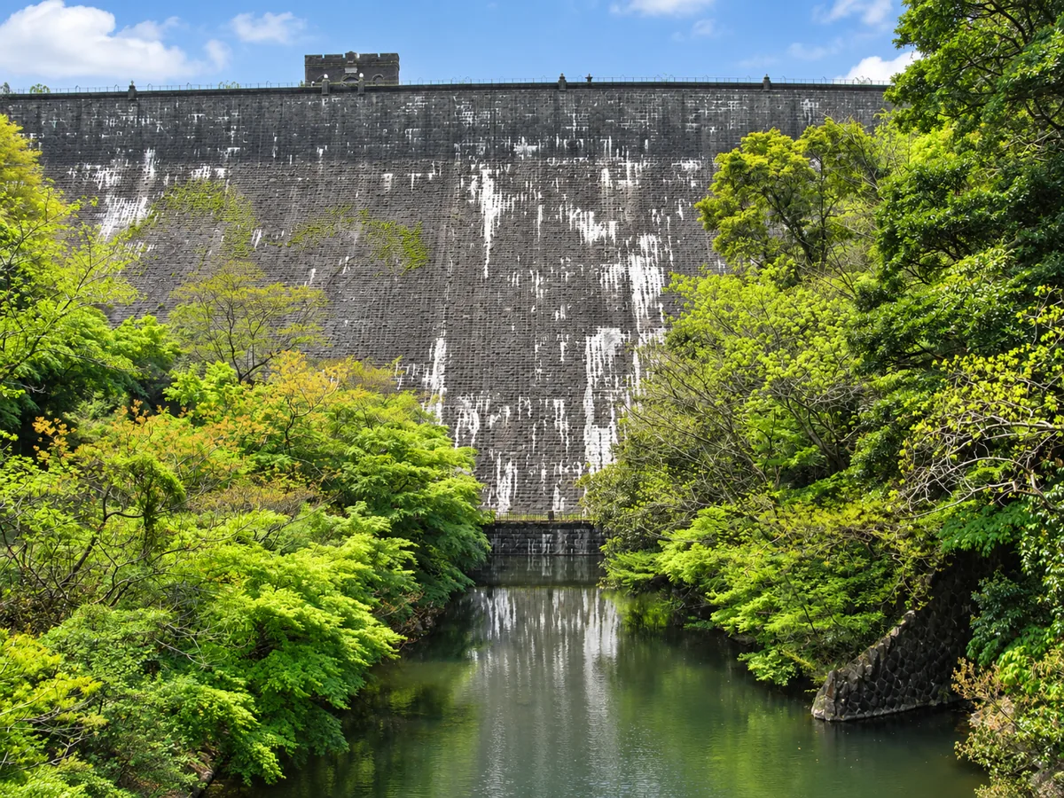 木々に囲まれた河内貯水池の堰堤
