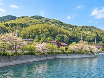 春の色をまとった河内貯水池